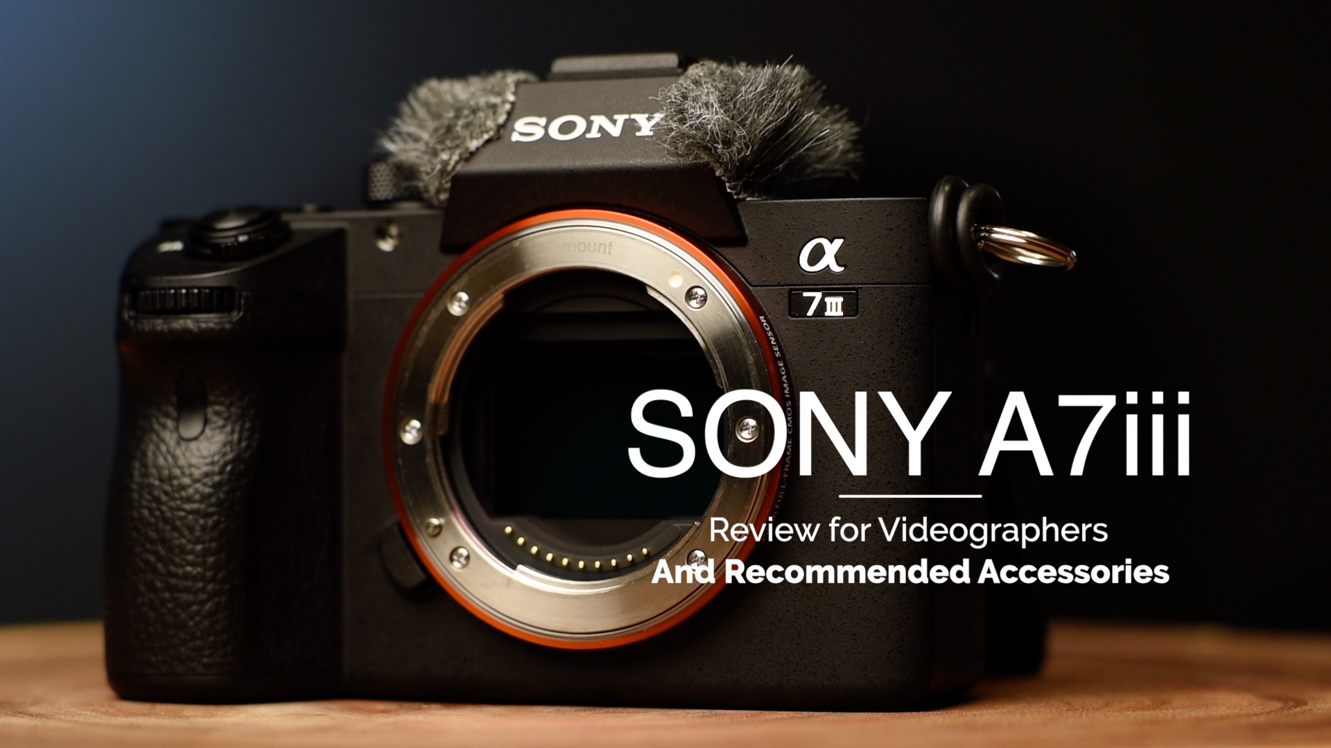Sony A7III in 2022 - New Entry Level Full Frame 